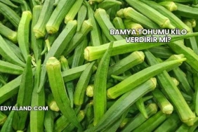 Bamya Tohumu Kilo Verdirir mi?