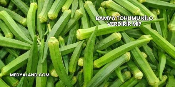 Bamya Tohumu Kilo Verdirir mi?