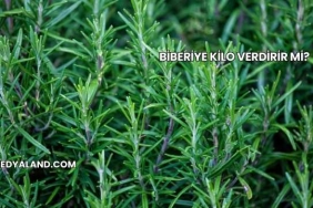 Biberiye Kilo Verdirir mi?