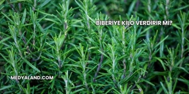 Biberiye Kilo Verdirir mi?