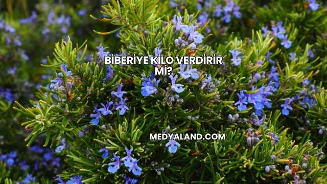 Biberiye Kilo Verdirir mi?