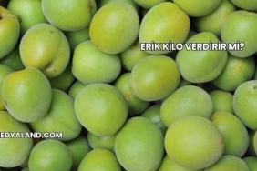 Erik Kilo Verdirir mi?