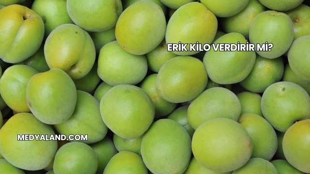 Erik Kilo Verdirir mi?