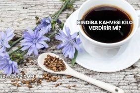 Hindiba Kahvesi Kilo Verdirir mi?