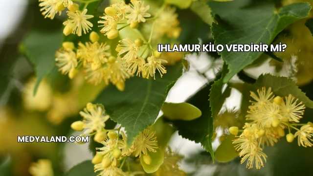 Ihlamur Kilo Verdirir mi?