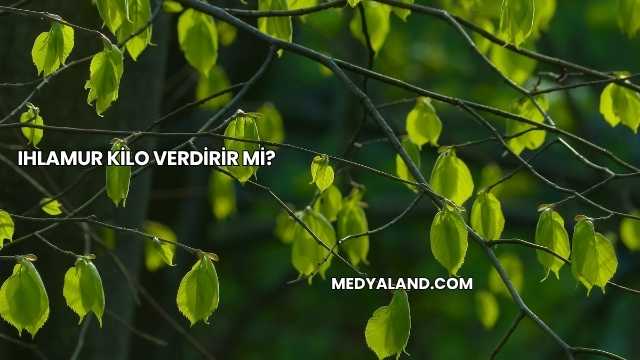 Ihlamur Kilo Verdirir mi?