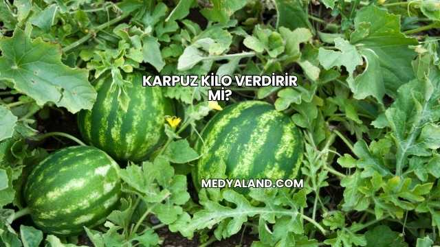 Karpuz Kilo Verdirir mi?