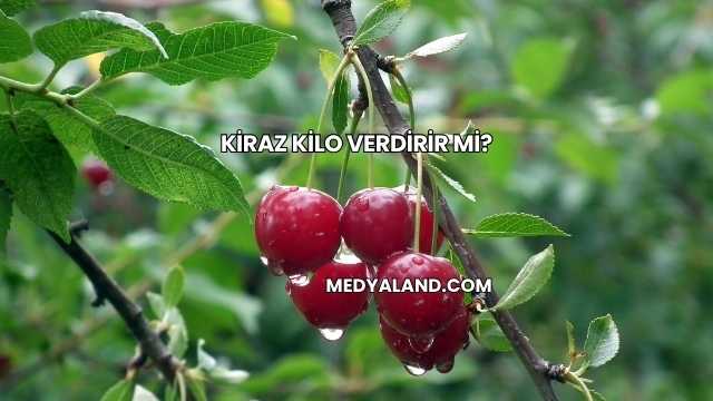 Kiraz Kilo Verdirir mi?