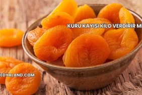 Kuru Kayısı Kilo Verdirir mi?