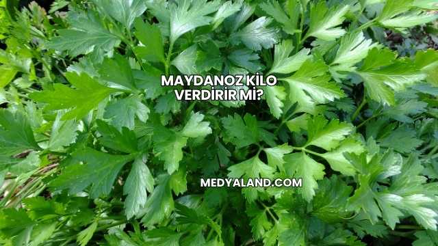 Maydanoz Kilo Verdirir mi?