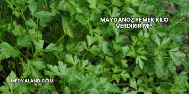 Maydanoz Yemek Kilo Verdirir mi?