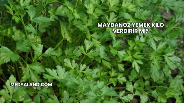 Maydanoz Yemek Kilo Verdirir mi?