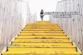 Merdiven Çıkmak Kilo Verdirir mi?