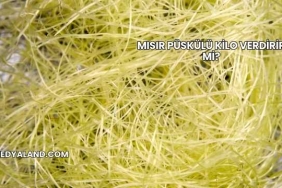 Mısır Püskülü Kilo Verdirir mi?