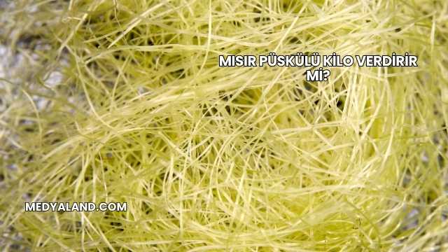 Mısır Püskülü Kilo Verdirir mi?