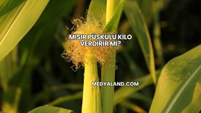 Mısır Püskülü Kilo Verdirir mi?