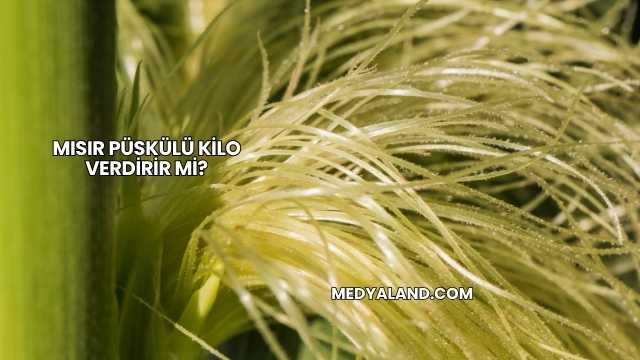 Mısır Püskülü Kilo Verdirir mi?