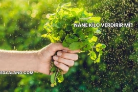 Nane Kilo Verdirir mi?