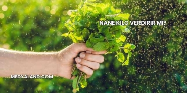 Nane Kilo Verdirir mi?