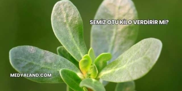 Semiz Otu Kilo Verdirir mi?