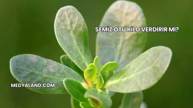 Semiz Otu Kilo Verdirir mi?