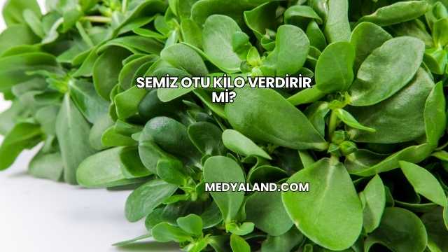 Semiz Otu Kilo Verdirir mi?