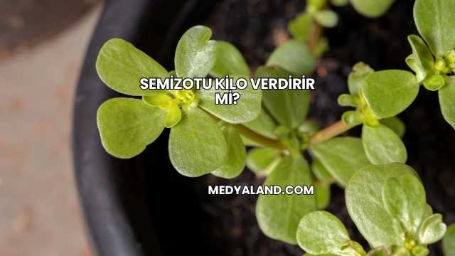 Semizotu Kilo Verdirir mi?