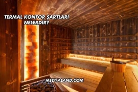 Termal Konfor Şartları Nelerdir?