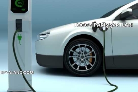 Togg Sipariş Şartları