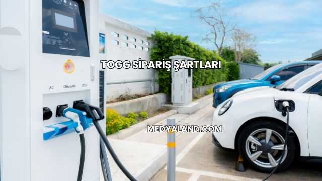 Togg Sipariş Şartları