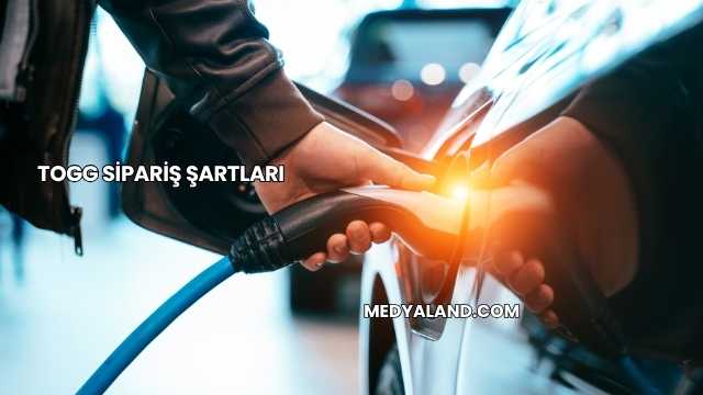 Togg Sipariş Şartları