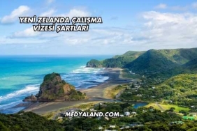 Yeni Zelanda Çalışma Vizesi Şartları