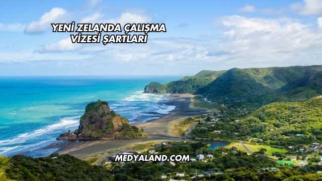 Yeni Zelanda Çalışma Vizesi Şartları