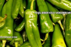 Yeşil Biber Kilo Verdirir mi?