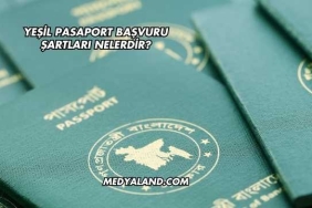 Yeşil Pasaport Başvuru Şartları Nelerdir?