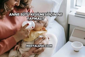 Anne Sütü Kesilmesi İçin Ne Yapmalı?