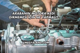 Arabanın Motora Kedi Girmemesi İçin Ne Yapmalı?