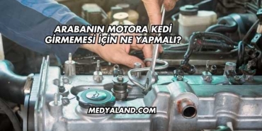 Arabanın Motora Kedi Girmemesi İçin Ne Yapmalı?