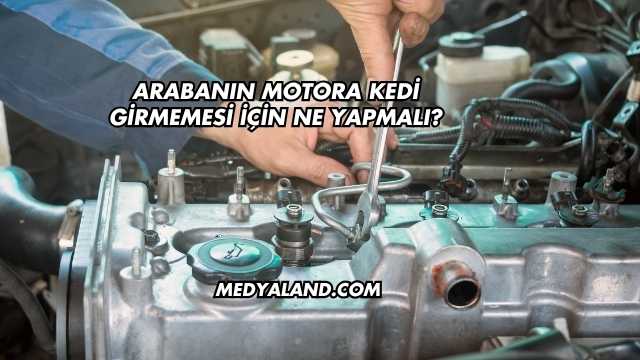 Arabanın Motora Kedi Girmemesi İçin Ne Yapmalı?