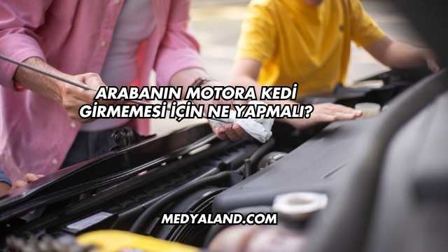 Arabanın Motora Kedi Girmemesi İçin Ne Yapmalı?