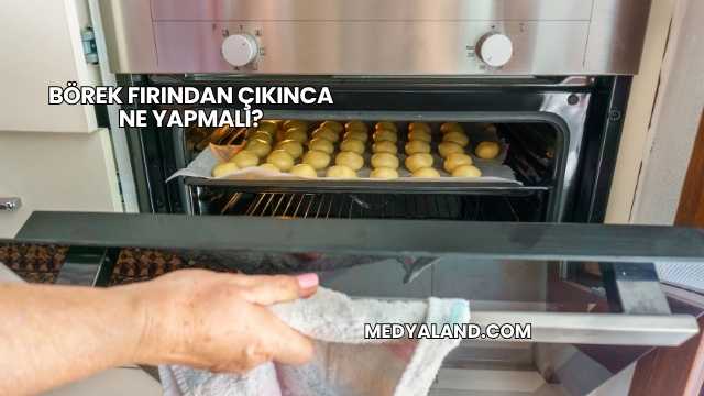 Börek Fırından Çıkınca Ne Yapmalı?