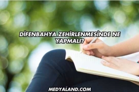 Difenbahya Zehirlenmesinde Ne Yapmalı?