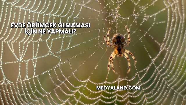 Evde Örümcek Olmaması İçin Ne Yapmalı?