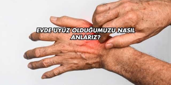 Evde Uyuz Olduğumuzu Nasıl Anlarız?