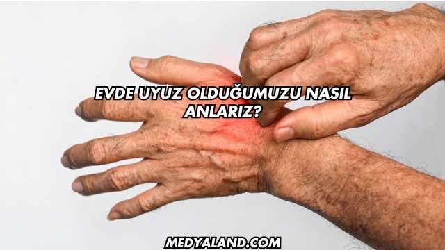 Evde Uyuz Olduğumuzu Nasıl Anlarız?