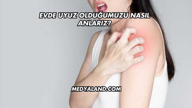 Evde Uyuz Olduğumuzu Nasıl Anlarız?