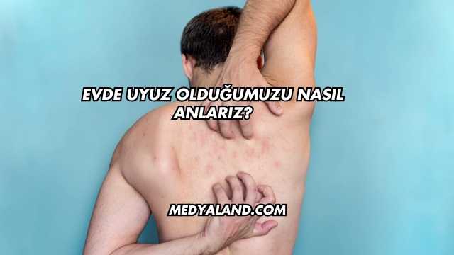 Evde Uyuz Olduğumuzu Nasıl Anlarız?