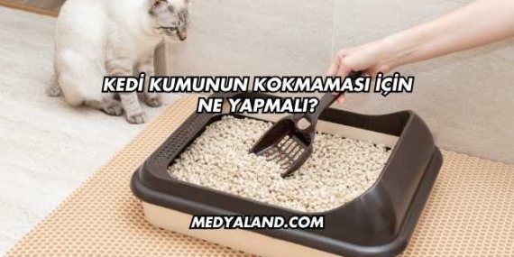 Kedi Kumunun Kokmaması İçin Ne Yapmalı?