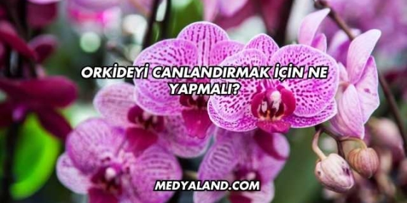 Orkideyi Canlandırmak İçin Ne Yapmalı?