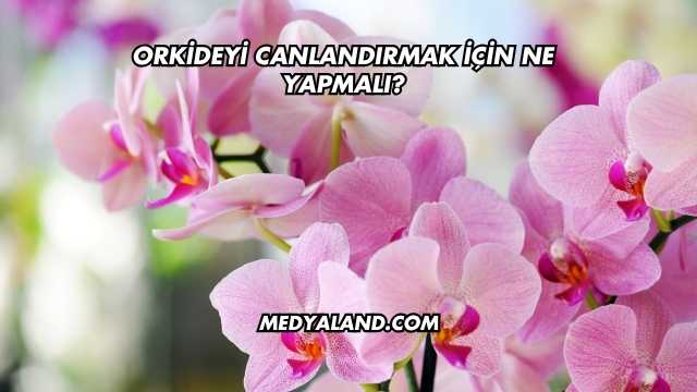 Orkideyi Canlandırmak İçin Ne Yapmalı?